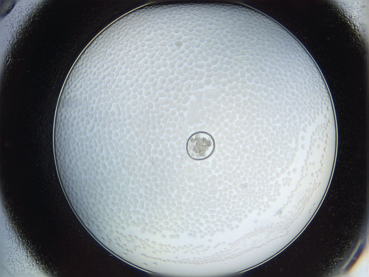 068s_C9_ImagerDefaults_6.jpg