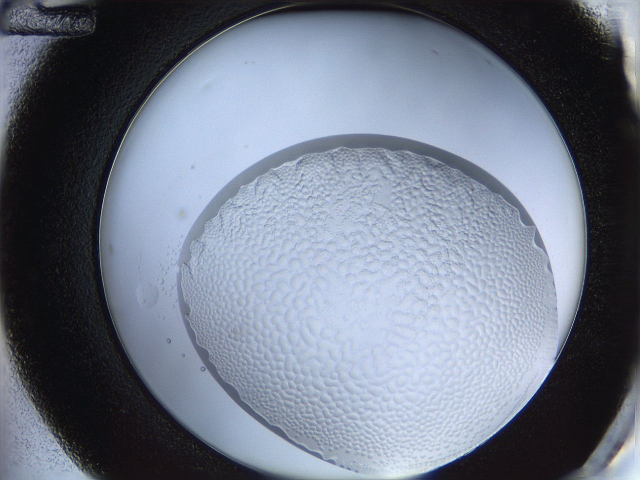 068s_C12_ImagerDefaults_5.jpg