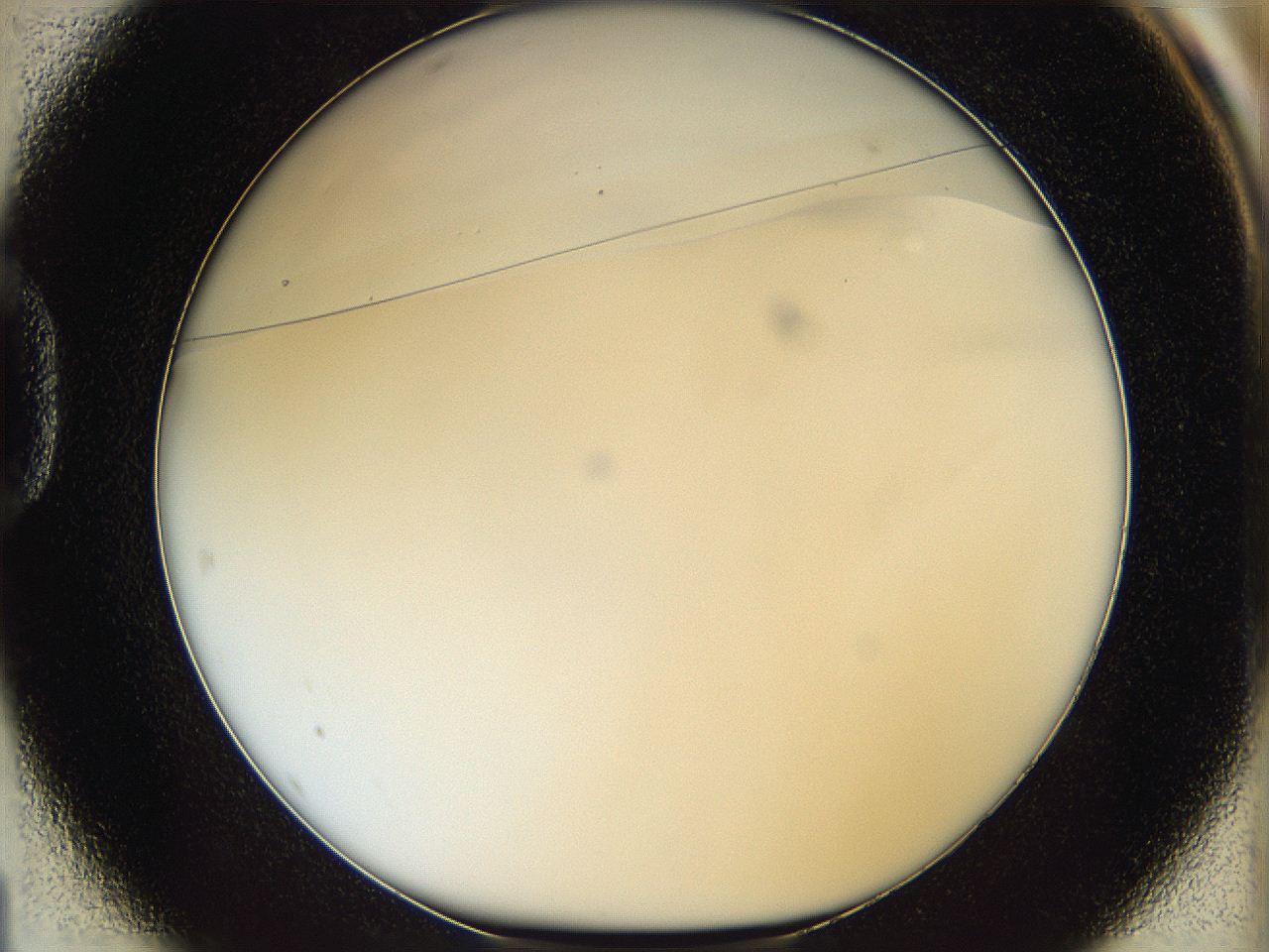068s_D1_ImagerDefaults_0.jpg
