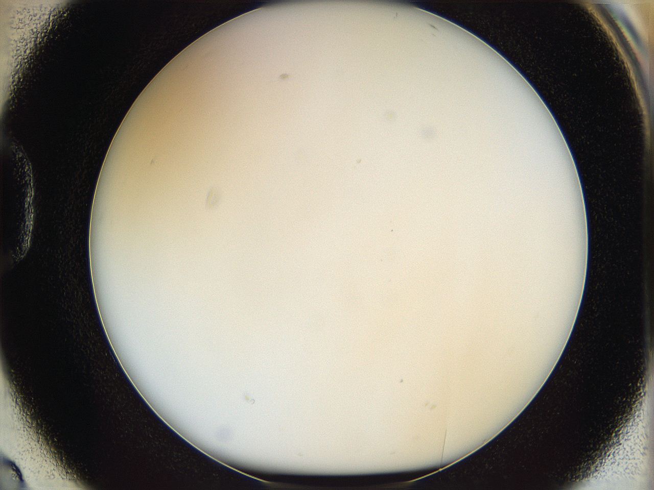 068s_D2_ImagerDefaults_0.jpg