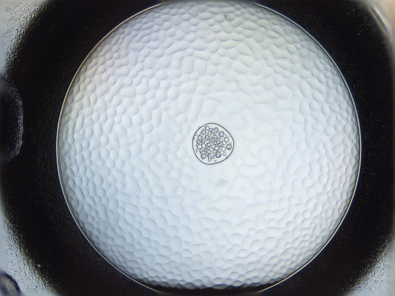 068s_D9_ImagerDefaults_5.jpg
