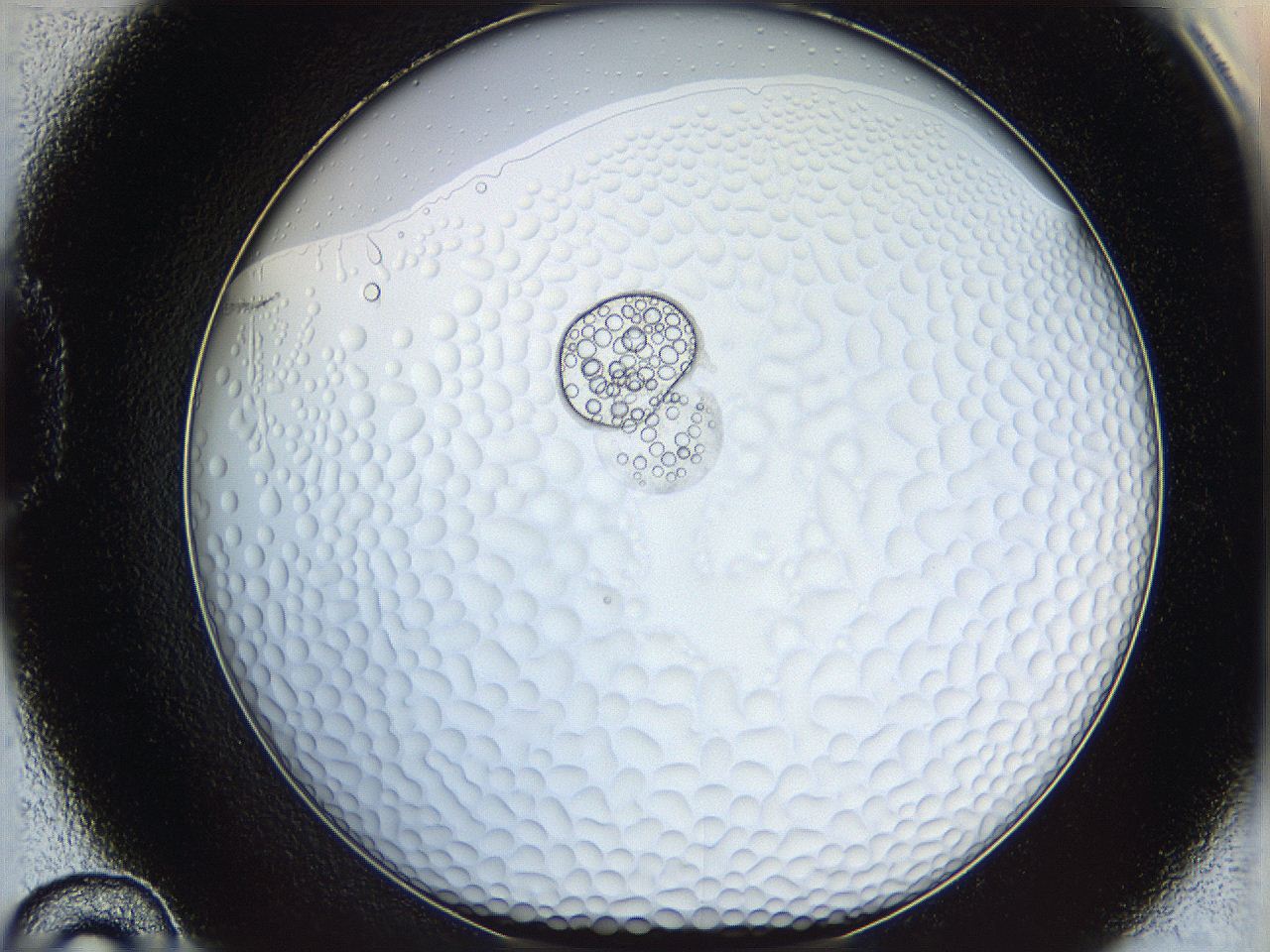 068s_D10_ImagerDefaults_5.jpg