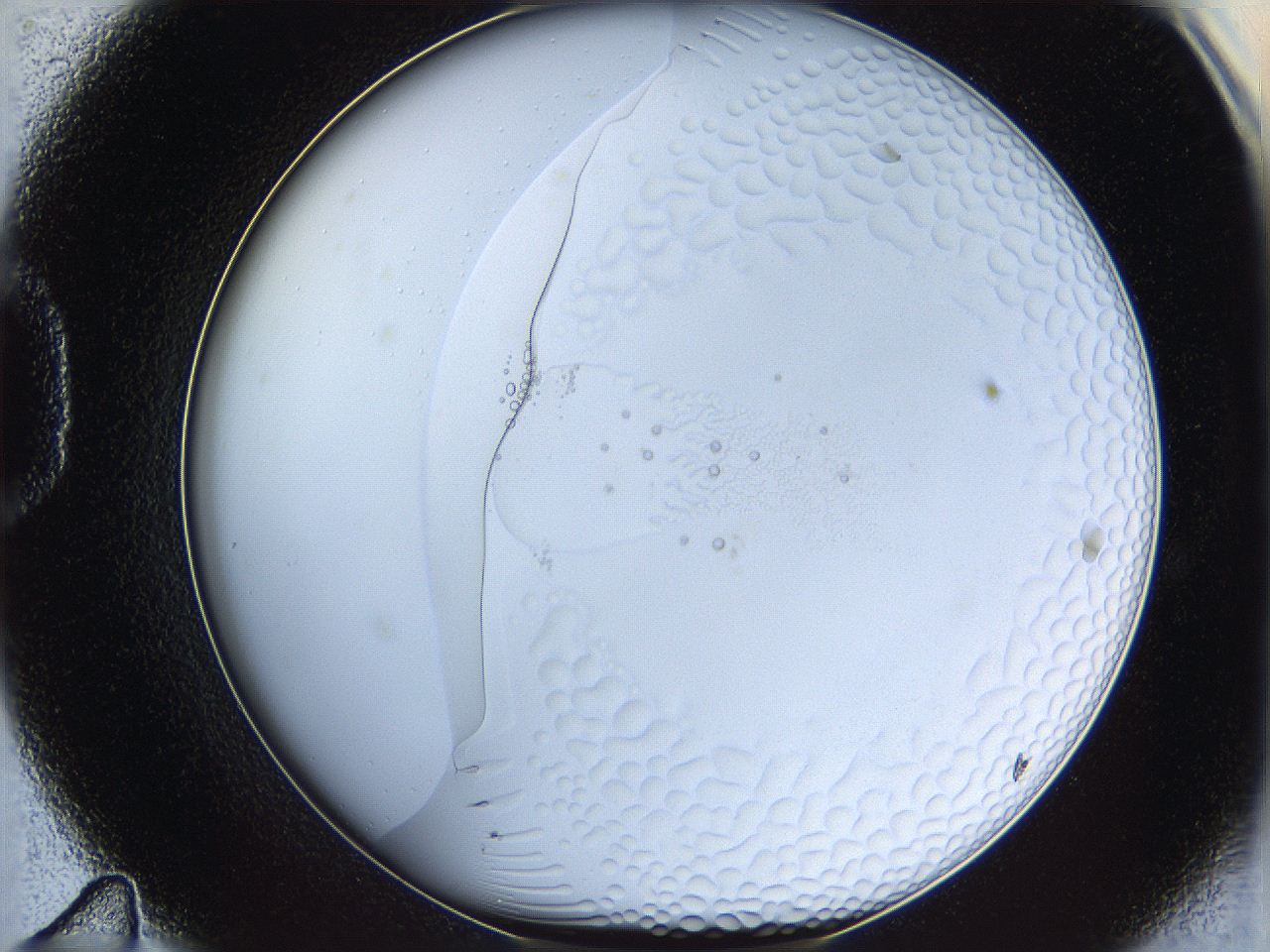 068s_D11_ImagerDefaults_5.jpg