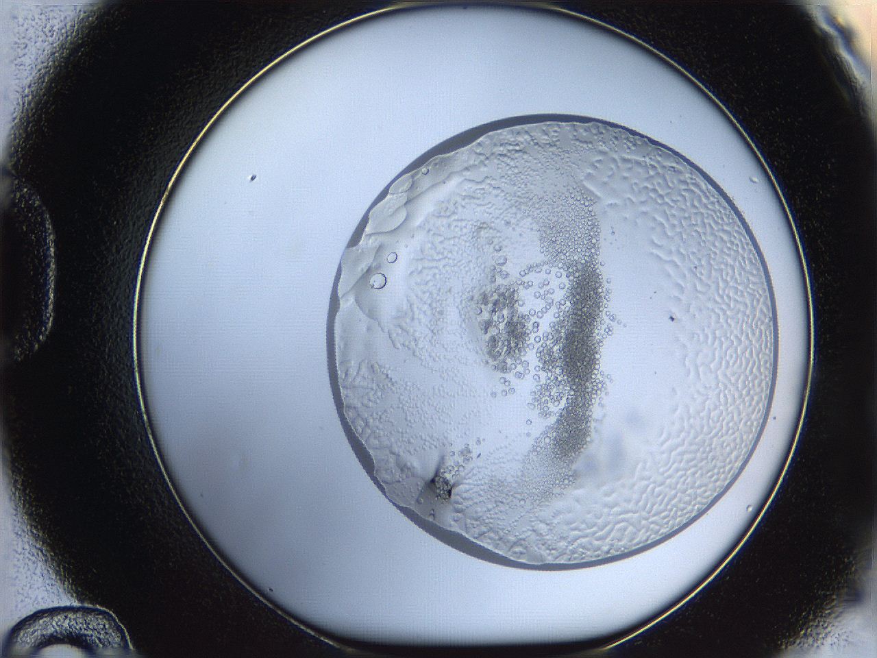 068s_D12_ImagerDefaults_5.jpg