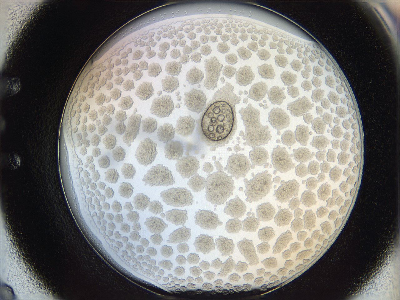 068s_E8_ImagerDefaults_6.jpg