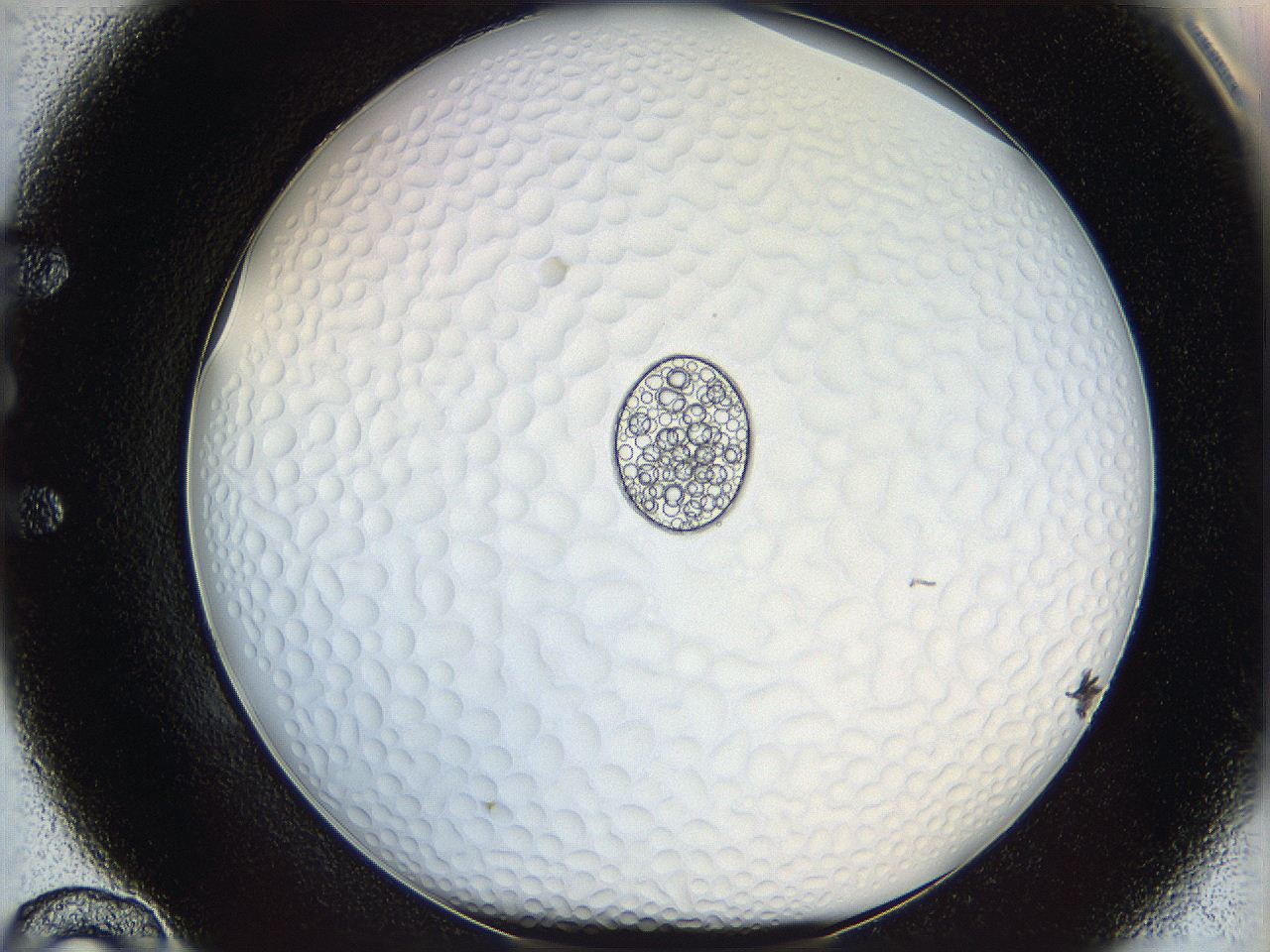 068s_E10_ImagerDefaults_5.jpg