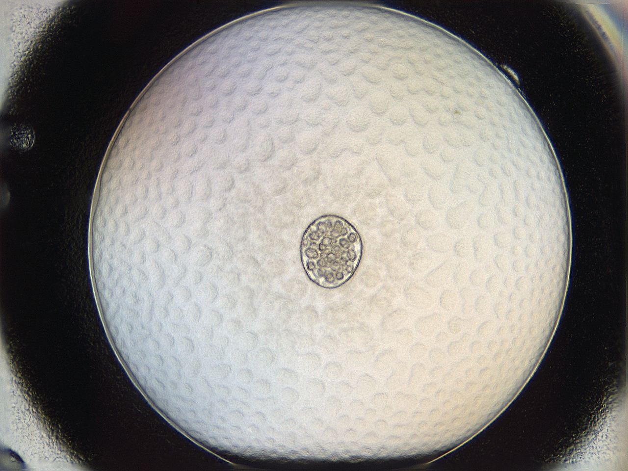 068s_F9_ImagerDefaults_6.jpg