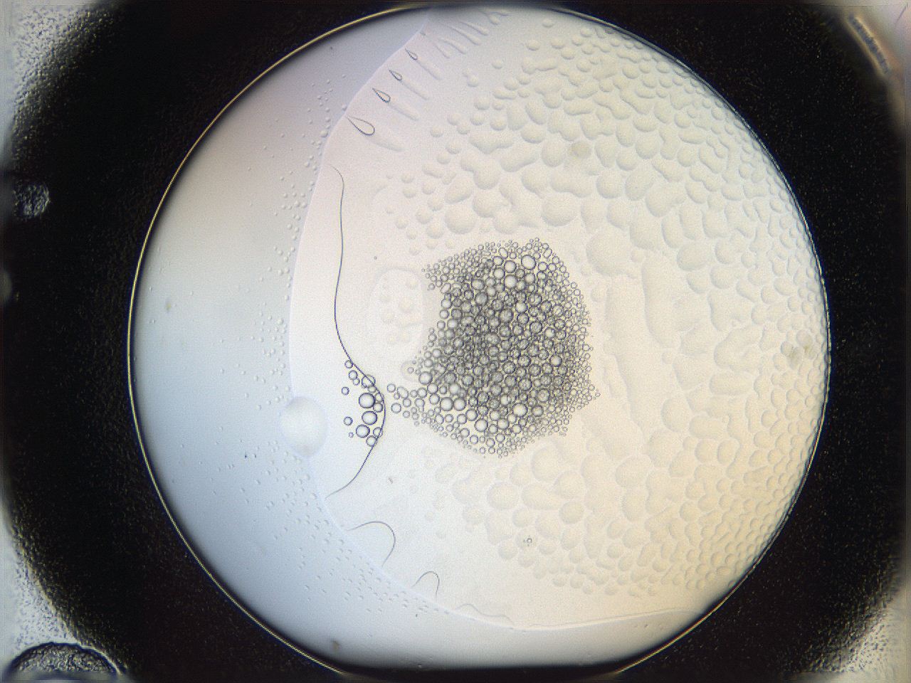 068s_F10_ImagerDefaults_5.jpg