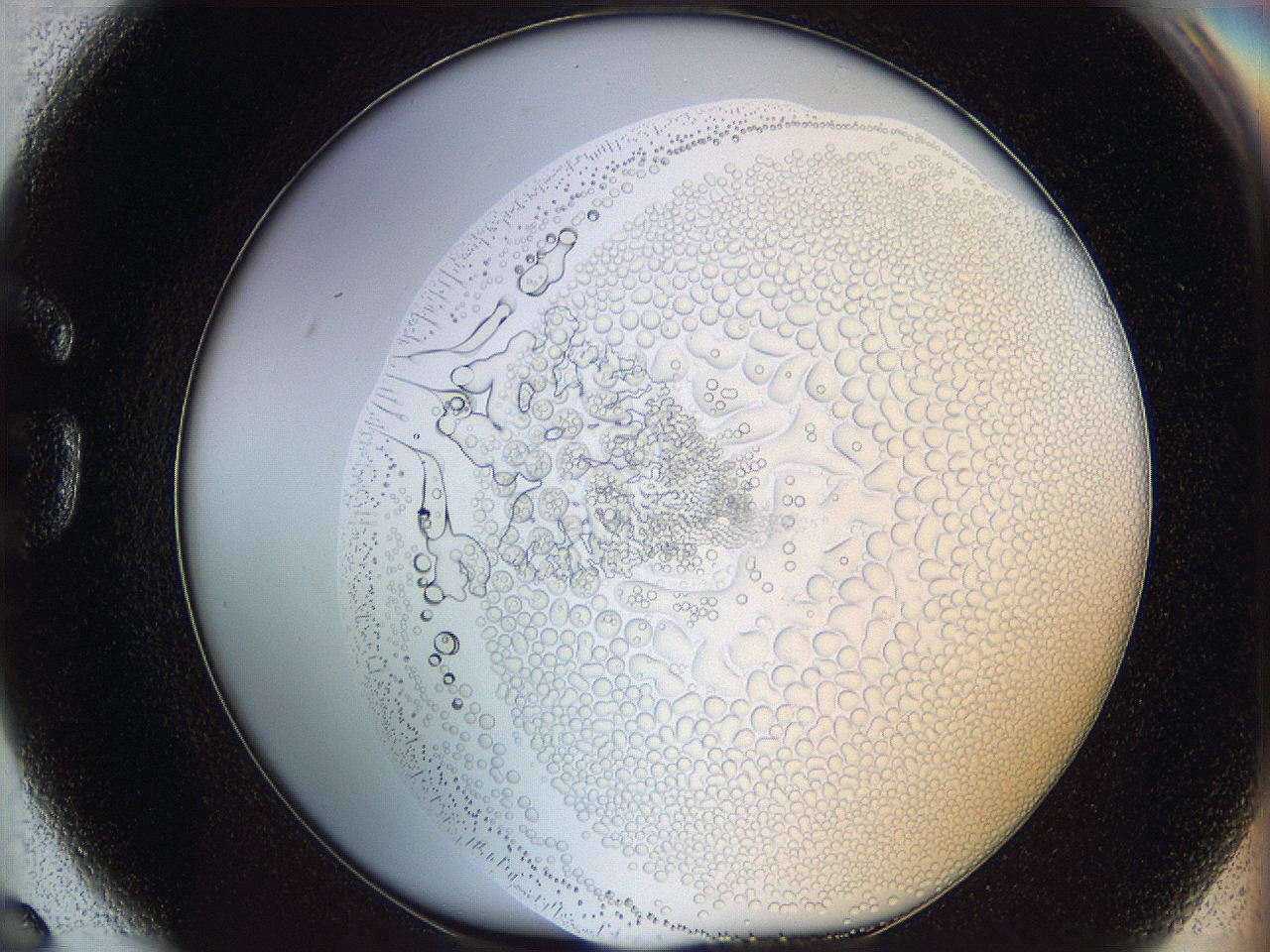 068s_G6_ImagerDefaults_5.jpg
