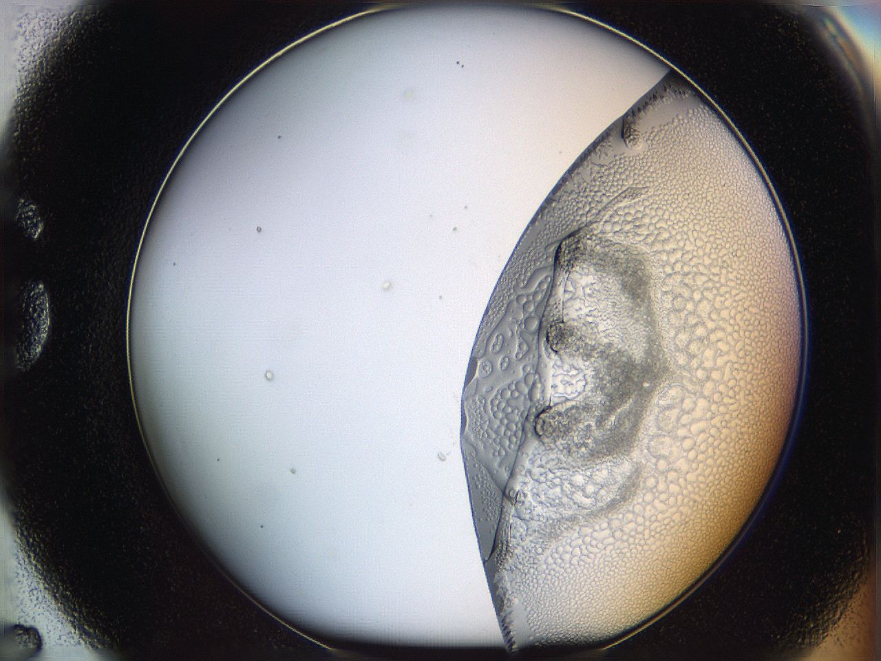 068s_G7_ImagerDefaults_5.jpg