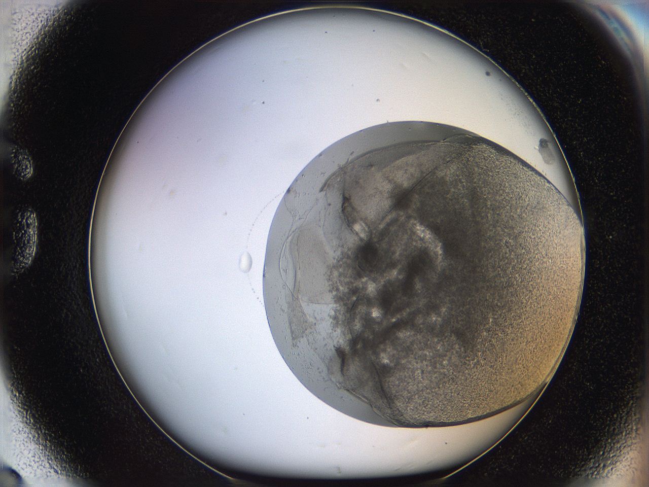 068s_G8_ImagerDefaults_3.jpg