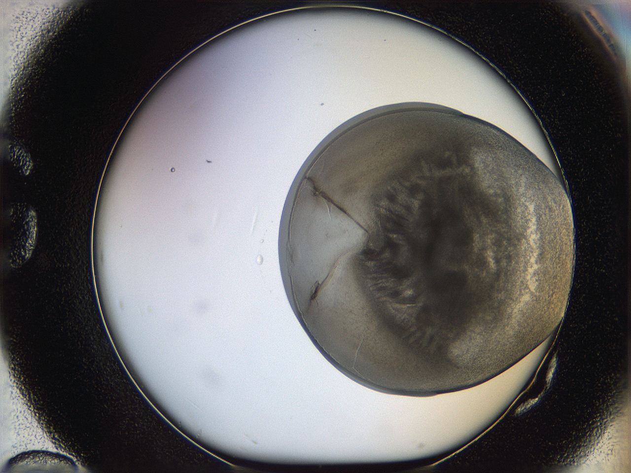 068s_G10_ImagerDefaults_3.jpg
