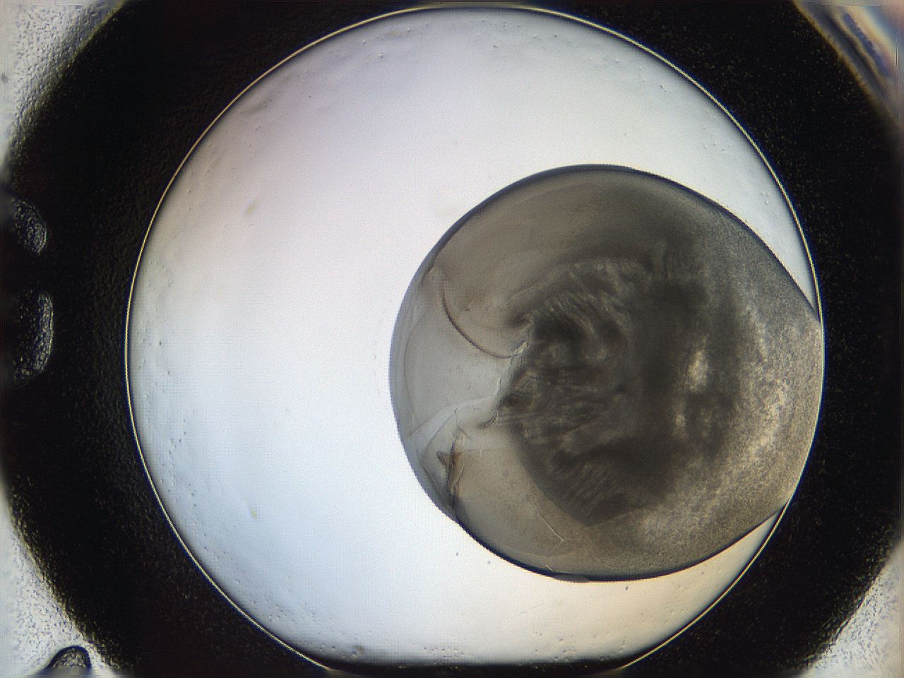 068s_G11_ImagerDefaults_3.jpg