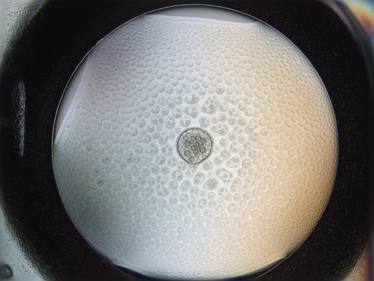 068s_H5_ImagerDefaults_6.jpg