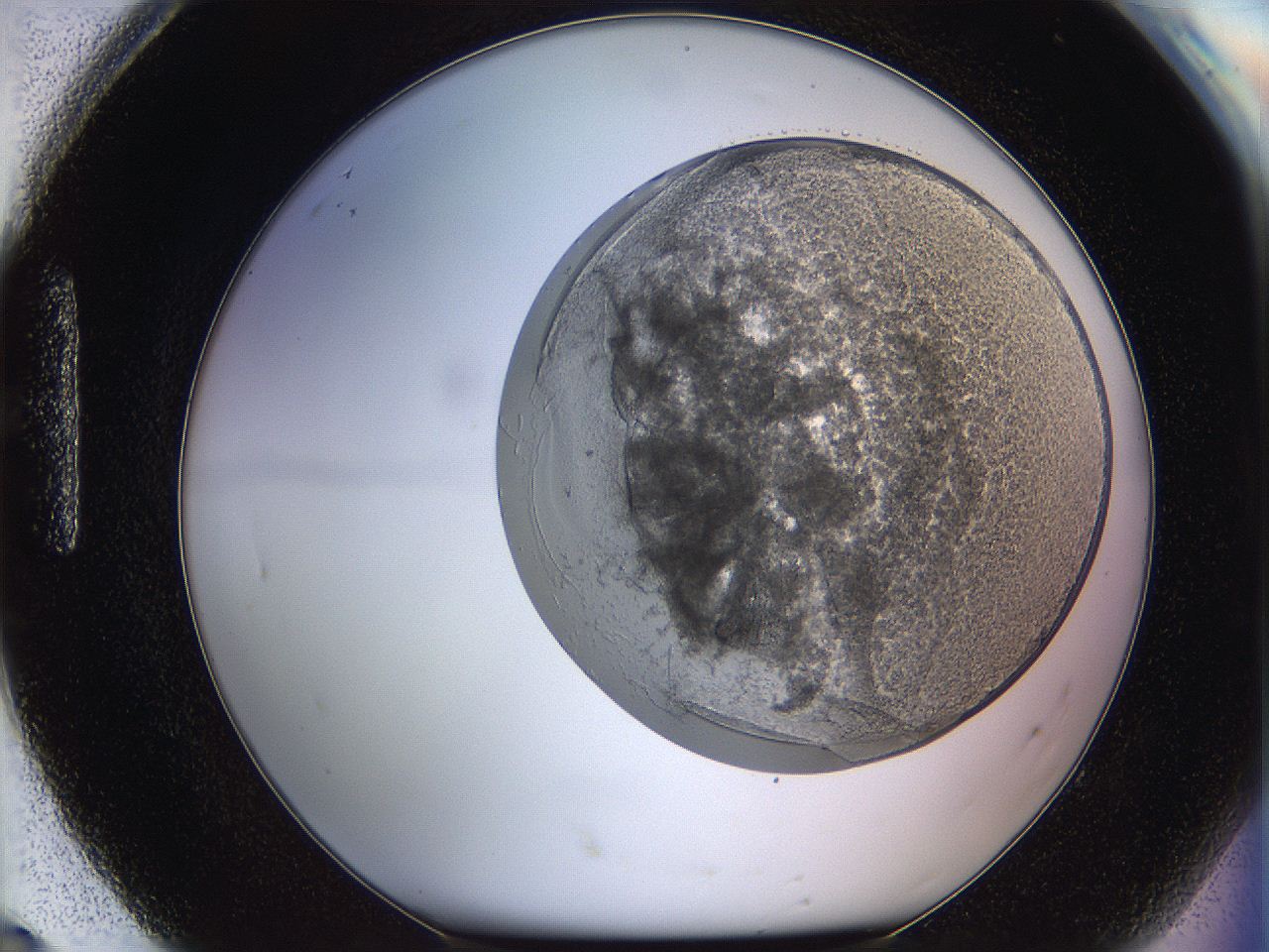 068s_H8_ImagerDefaults_3.jpg