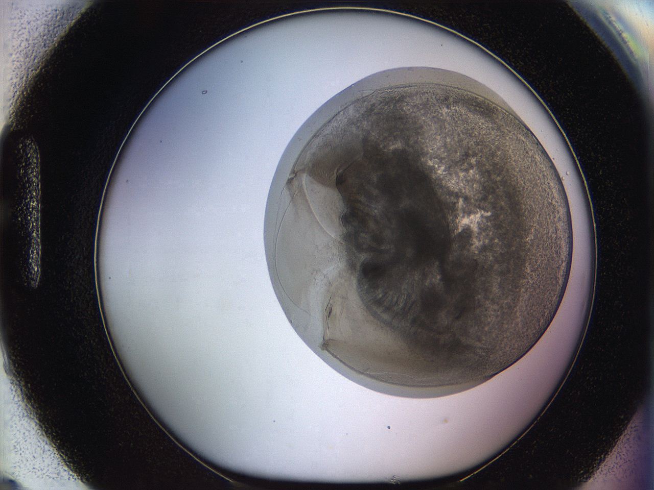 068s_H9_ImagerDefaults_3.jpg