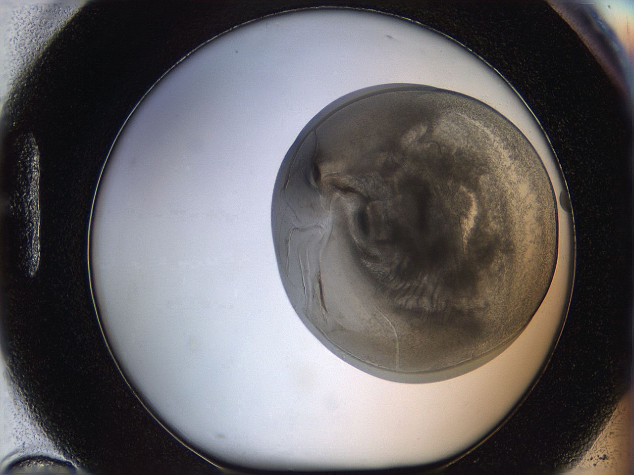 068s_H10_ImagerDefaults_3.jpg