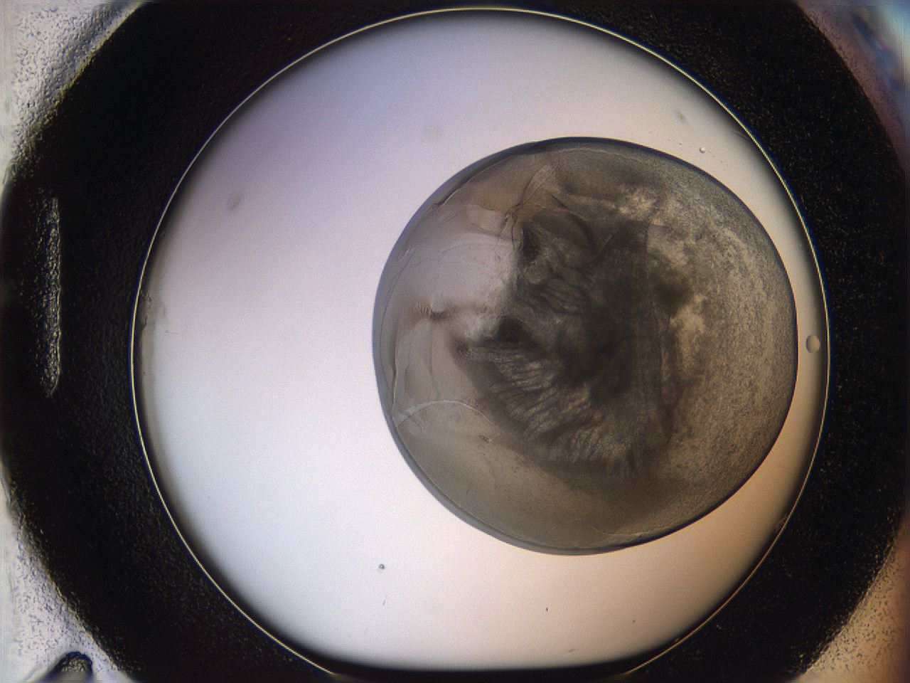 068s_H11_ImagerDefaults_3.jpg