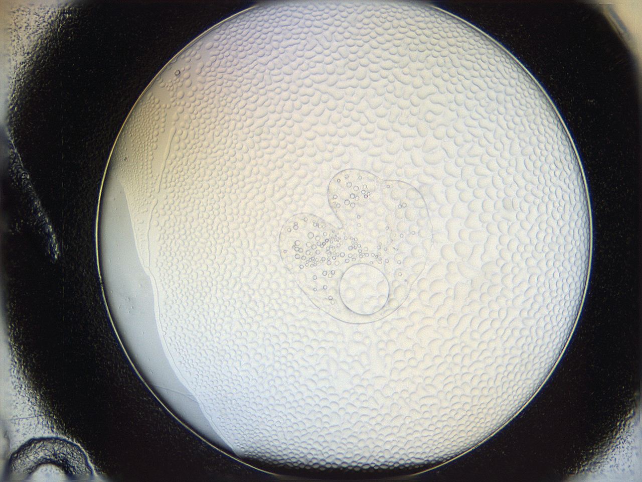 068t_A10_ImagerDefaults_5.jpg