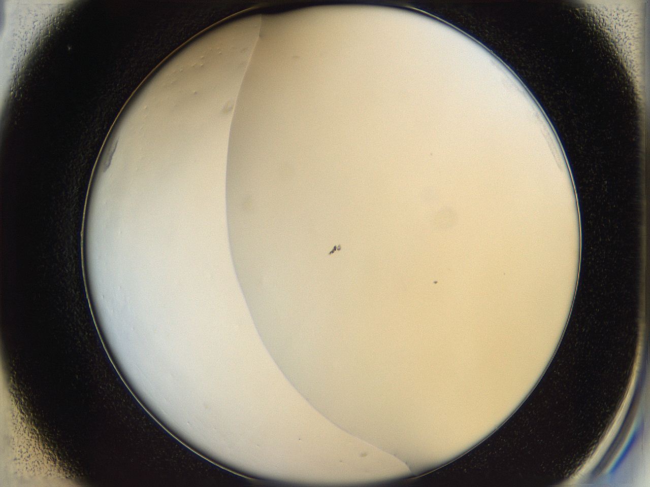 068t_C1_ImagerDefaults_0.jpg