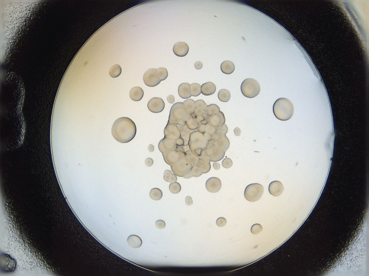 068t_B6_ImagerDefaults_5.jpg