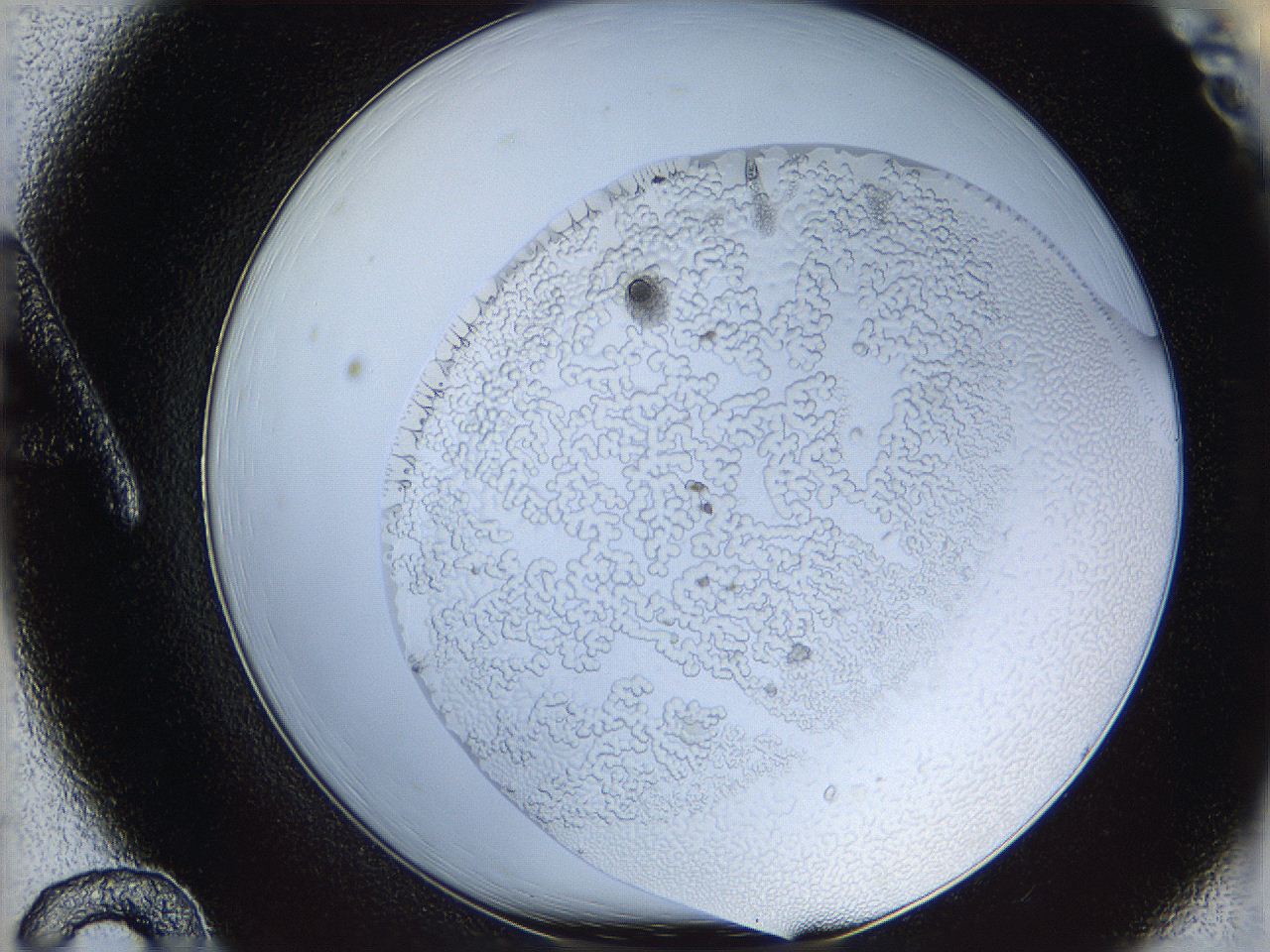 068t_A12_ImagerDefaults_5.jpg