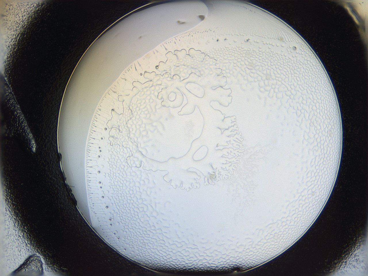 068t_A11_ImagerDefaults_5.jpg