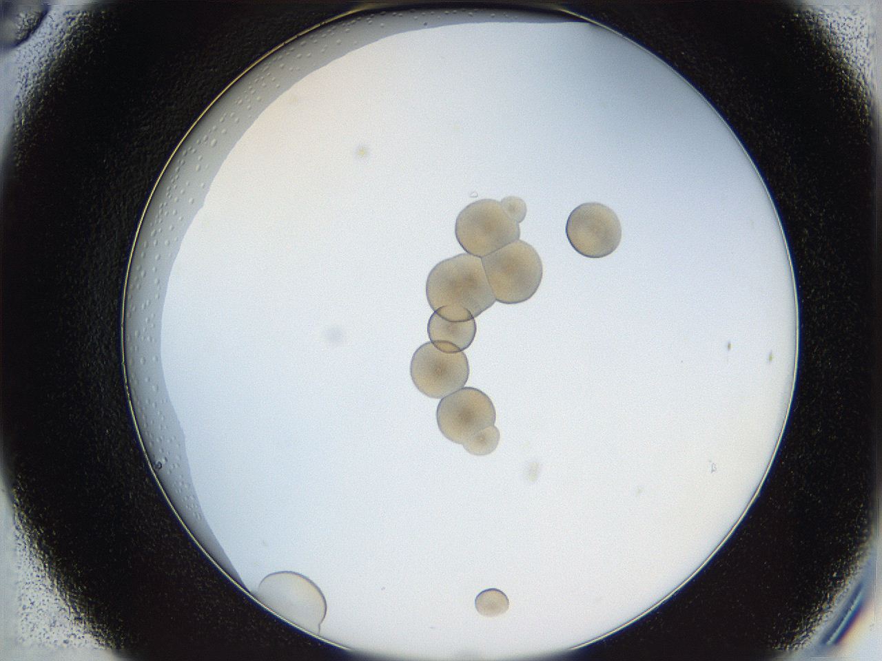 068t_C6_ImagerDefaults_0.jpg
