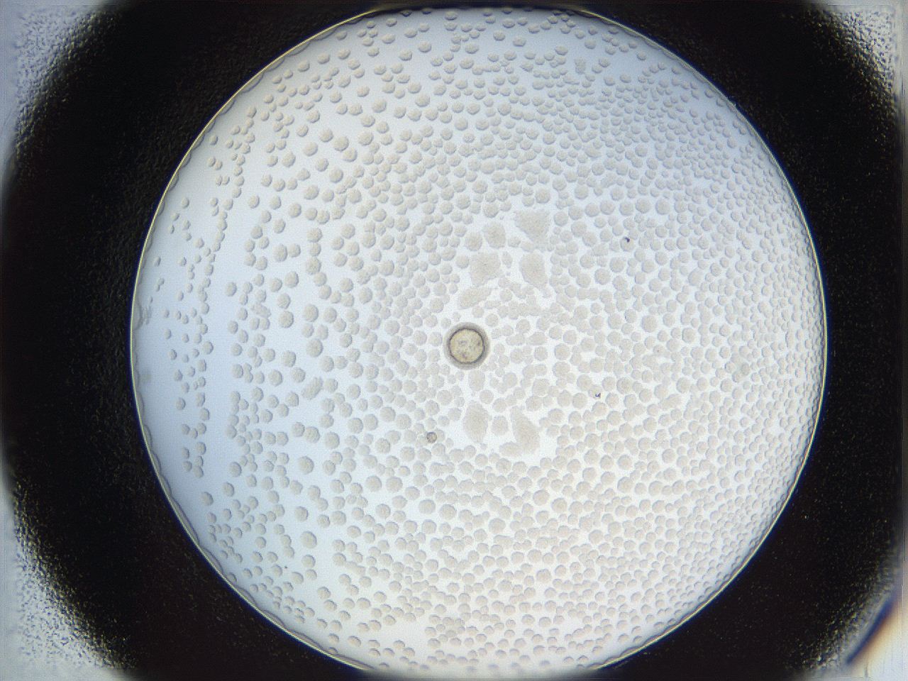 068t_C7_ImagerDefaults_6.jpg