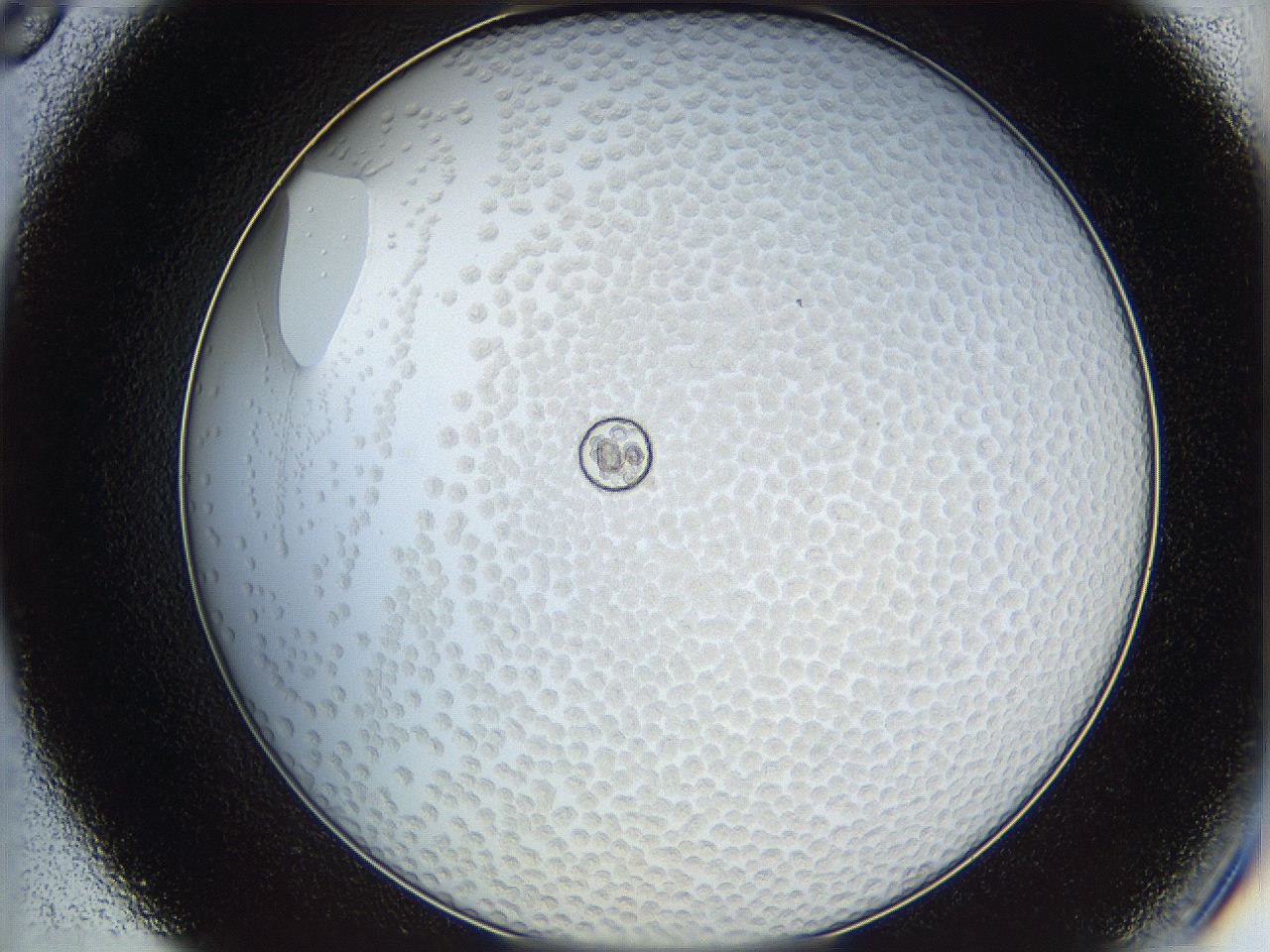 068t_C8_ImagerDefaults_6.jpg