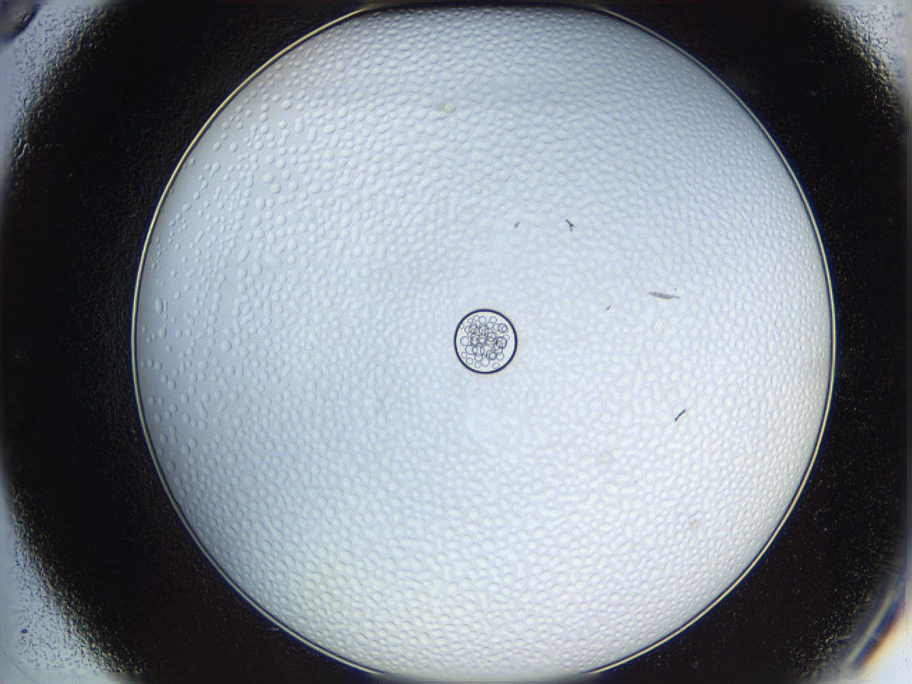 068t_C9_ImagerDefaults_5.jpg