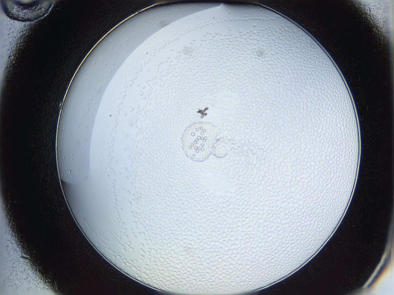 068t_C10_ImagerDefaults_5.jpg