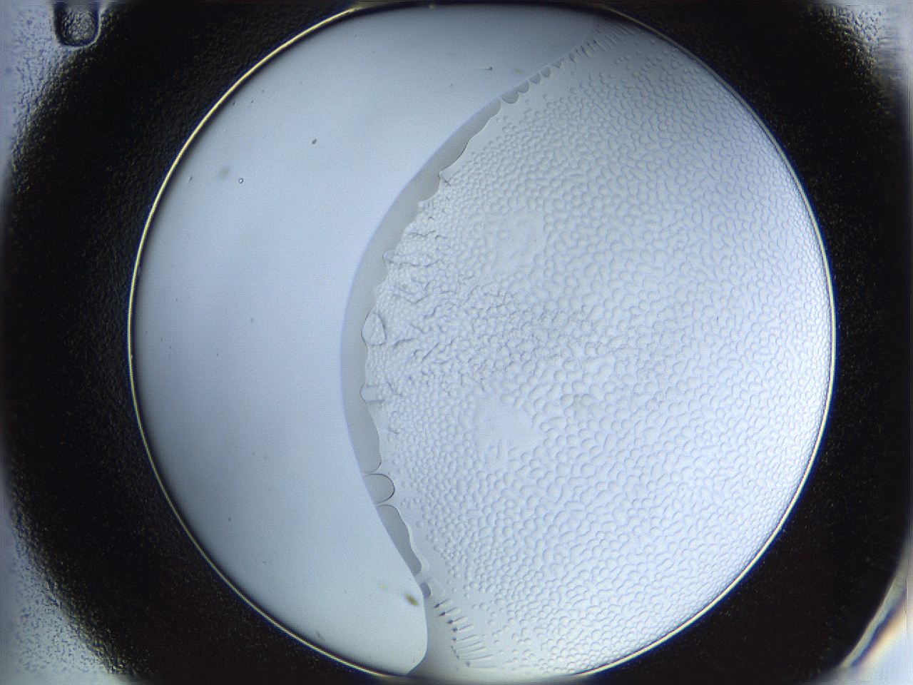 068t_C11_ImagerDefaults_5.jpg