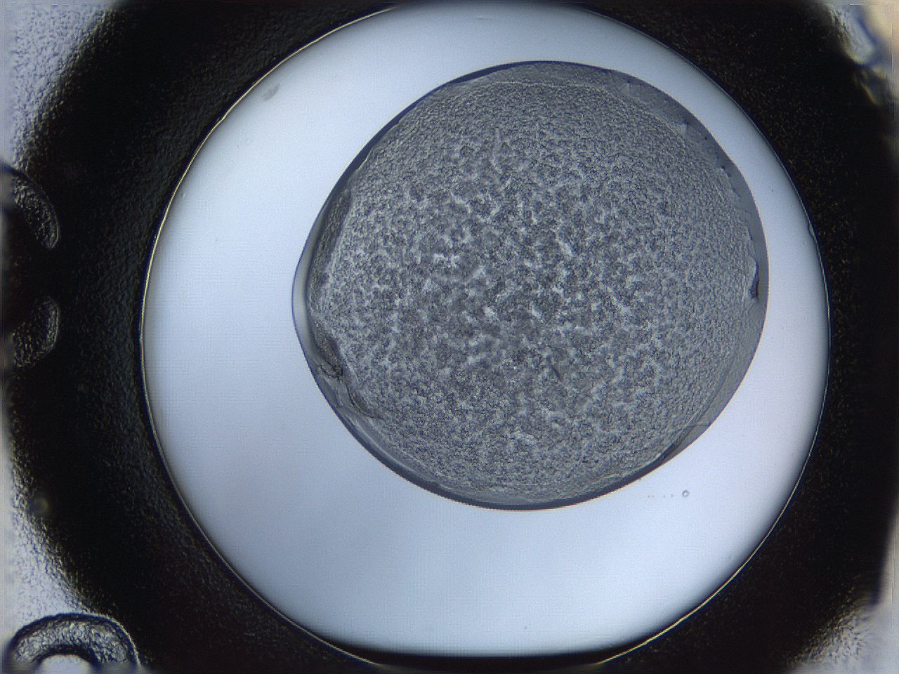 068t_C12_ImagerDefaults_4.jpg
