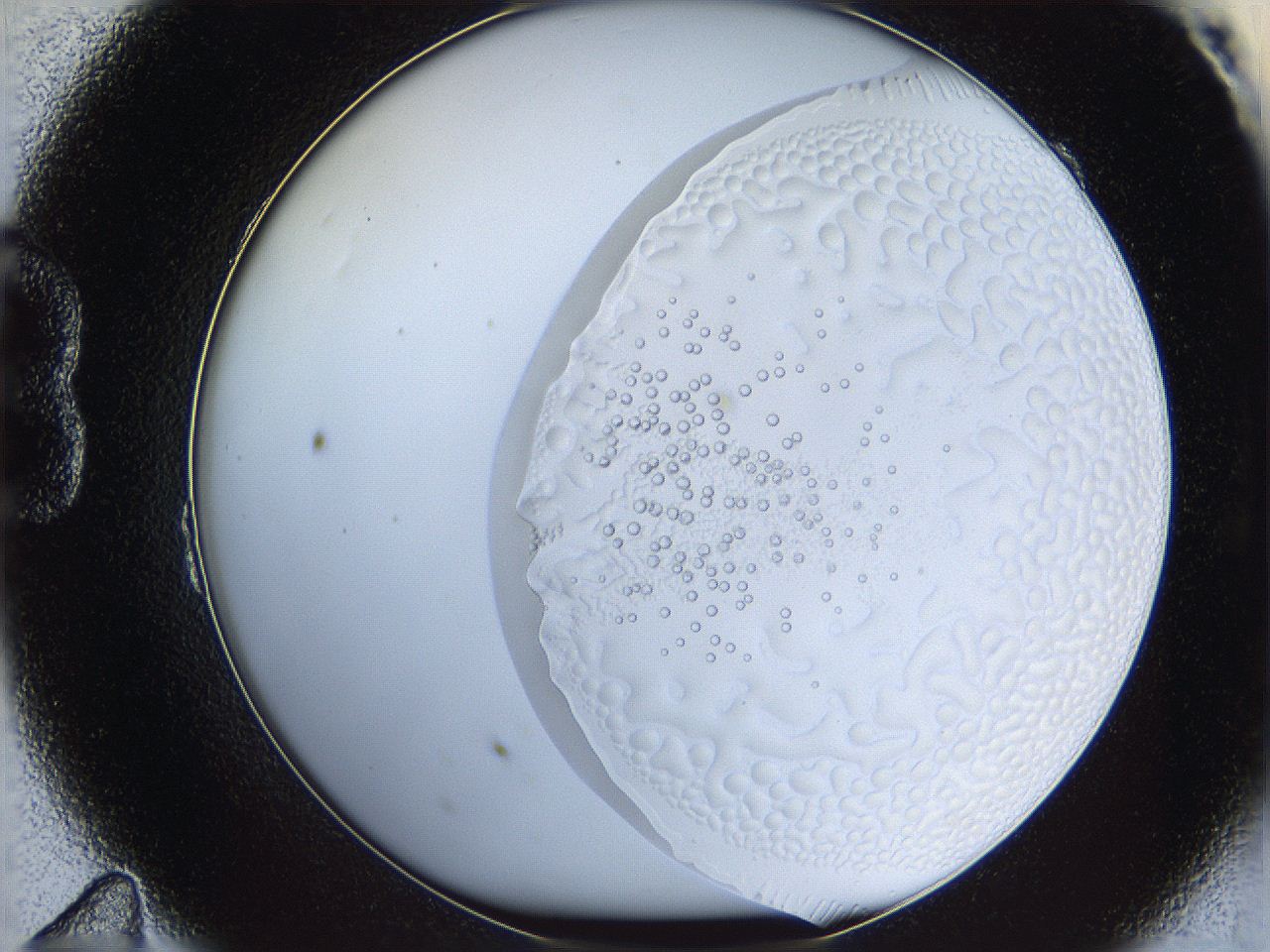 068t_B11_ImagerDefaults_5.jpg