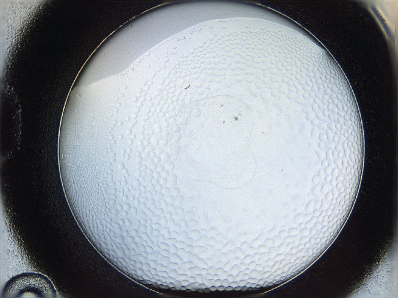 068t_D10_ImagerDefaults_5.jpg