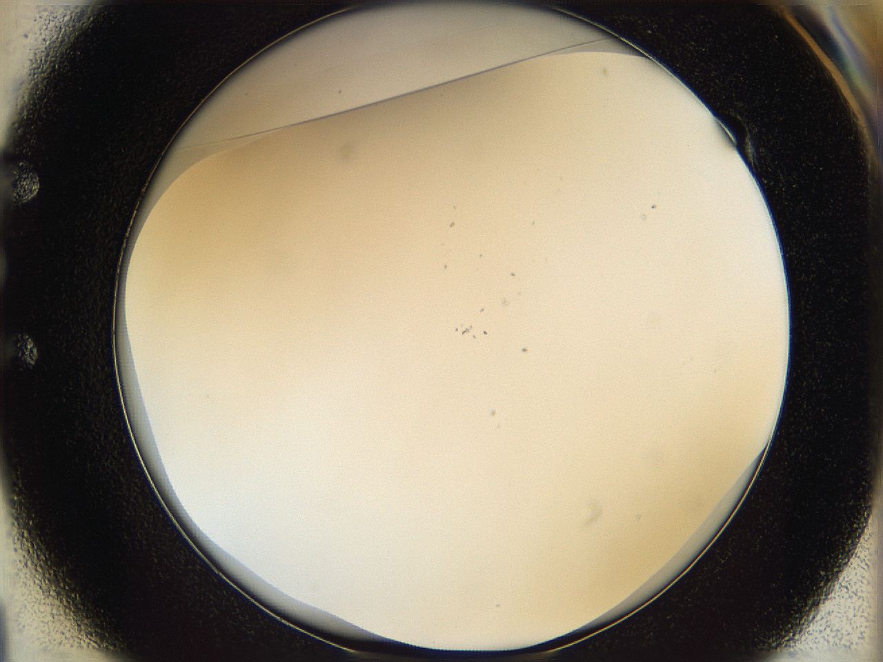 068t_E1_ImagerDefaults_0.jpg