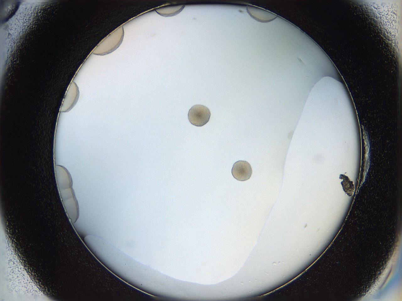 068t_E6_ImagerDefaults_0.jpg