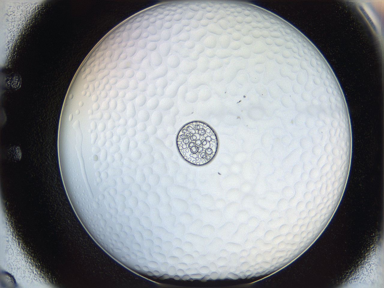 068t_E9_ImagerDefaults_5.jpg