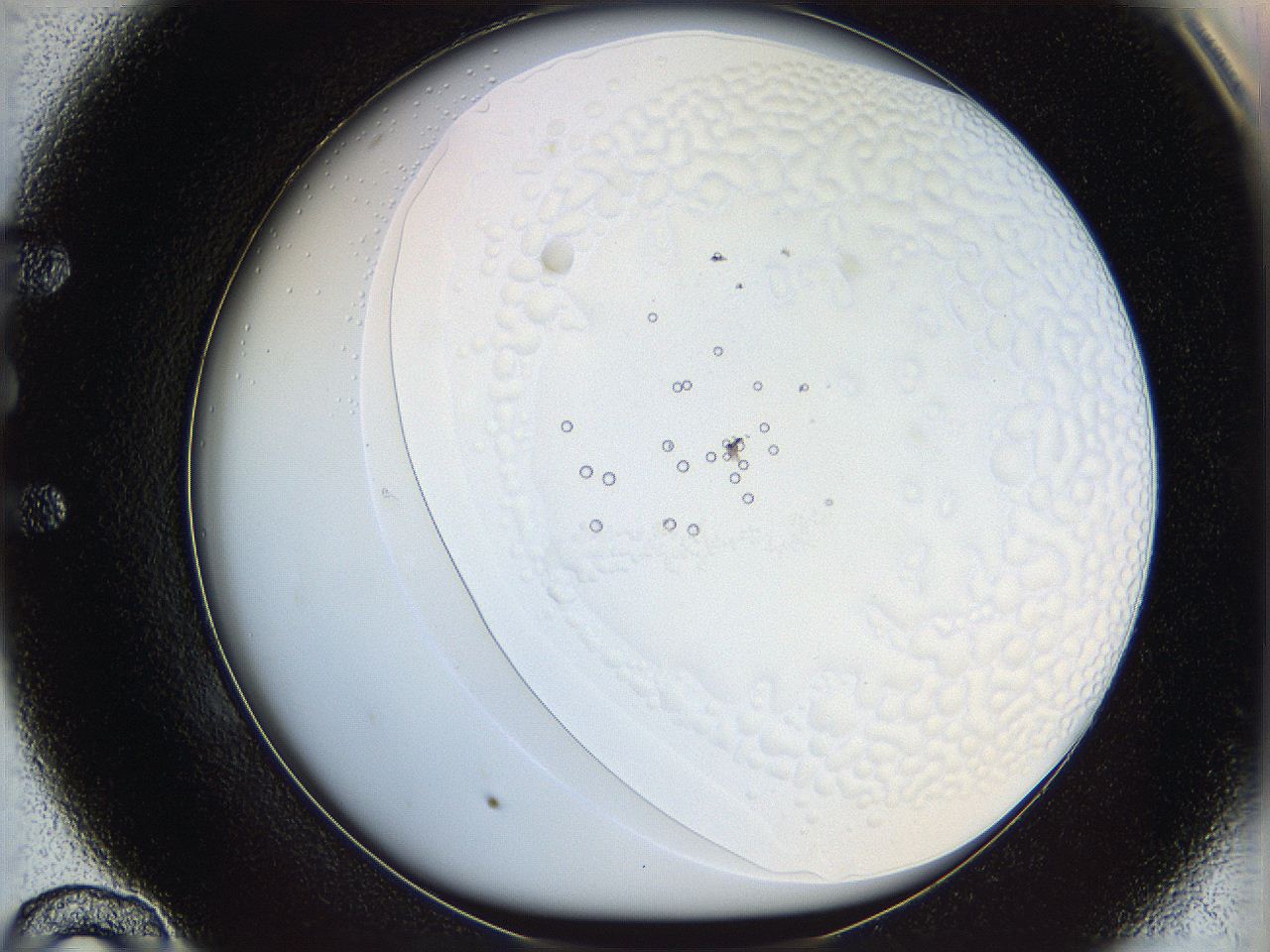 068t_E10_ImagerDefaults_5.jpg