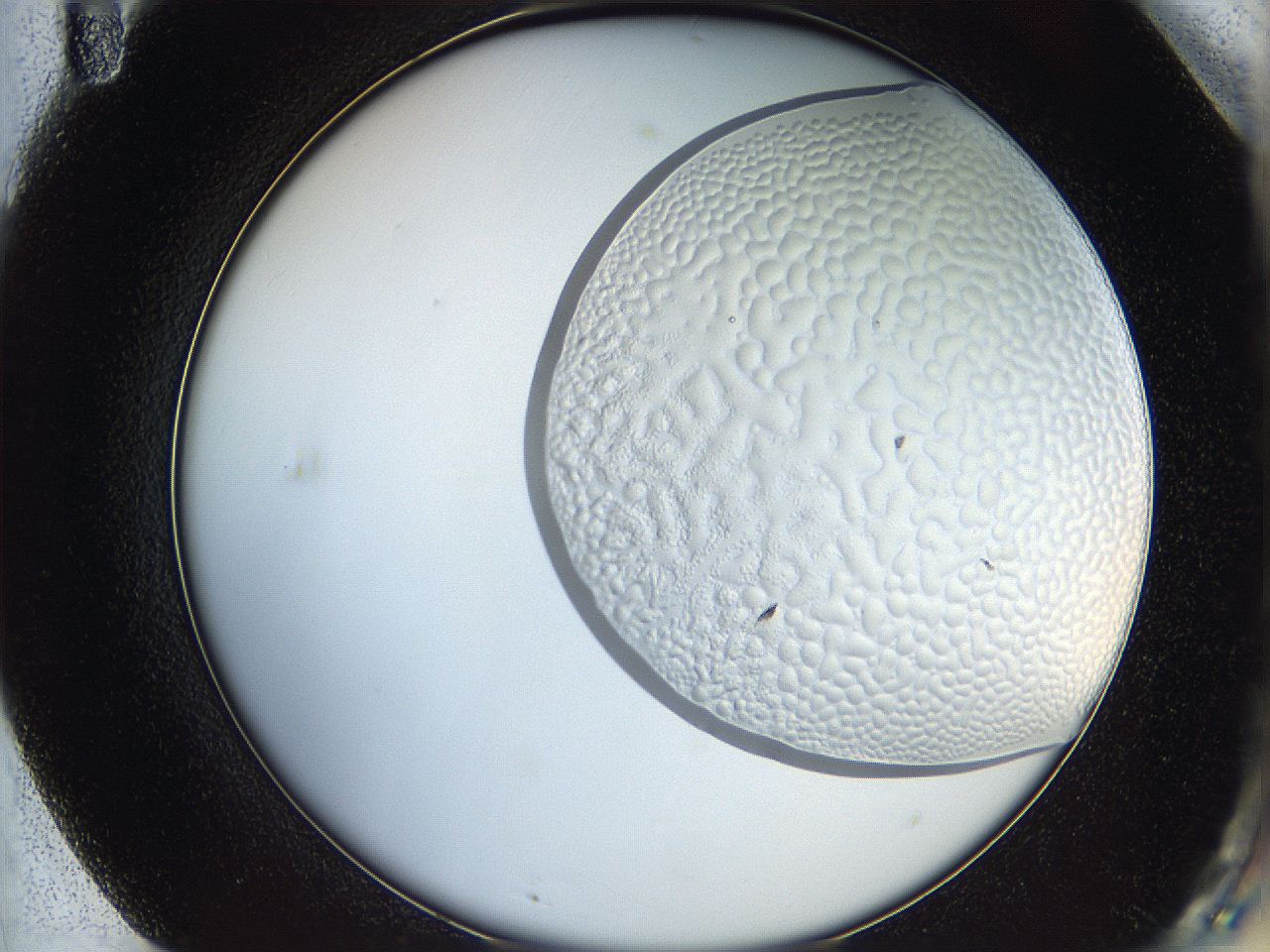 068t_F11_ImagerDefaults_5.jpg