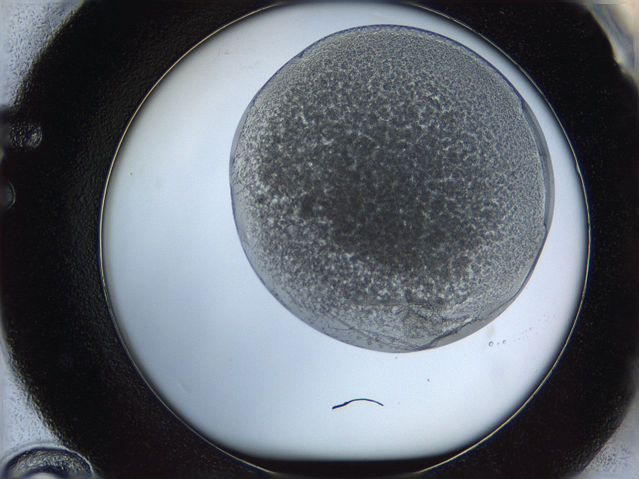 068t_F12_ImagerDefaults_3.jpg