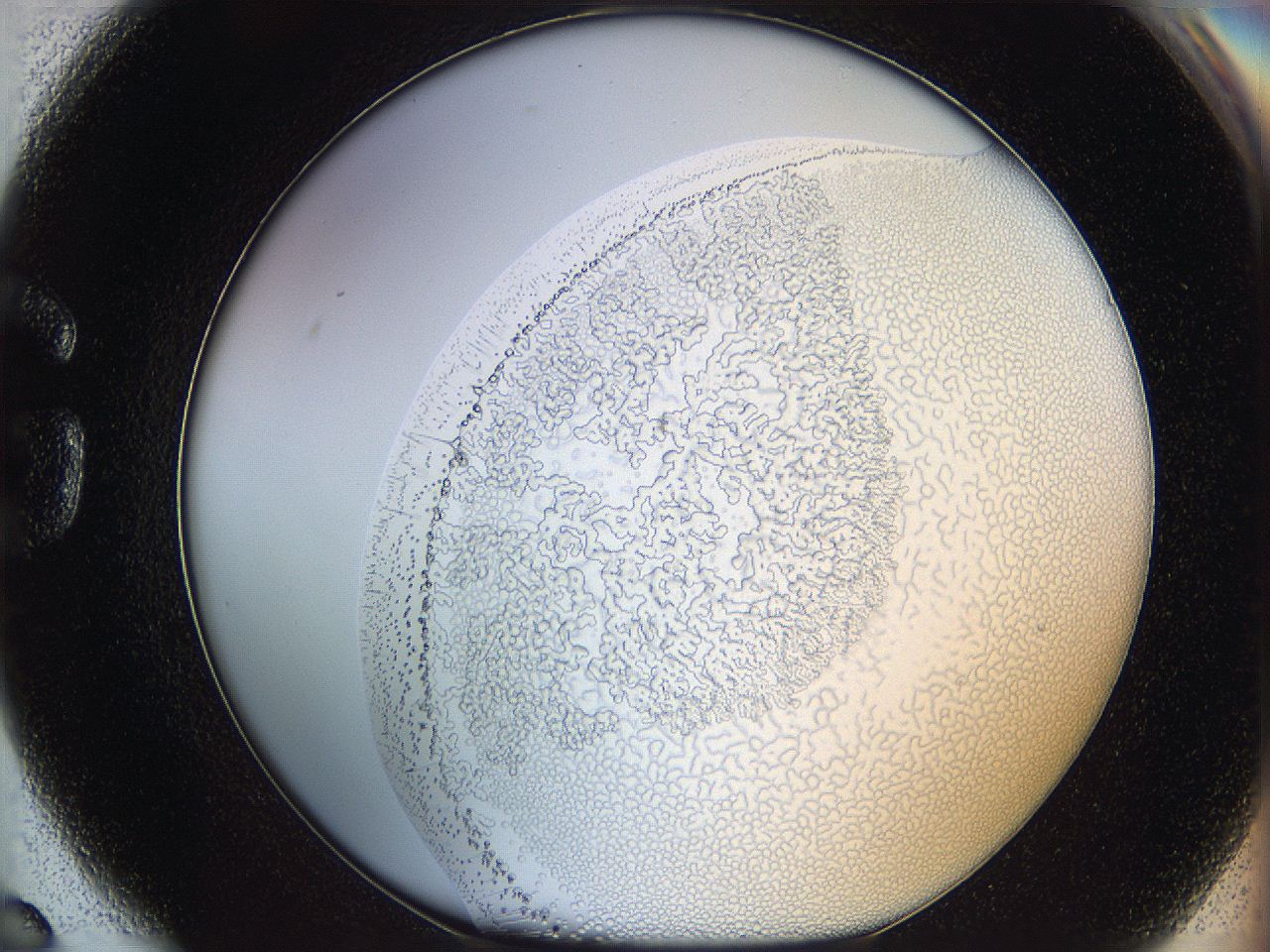 068t_G6_ImagerDefaults_5.jpg