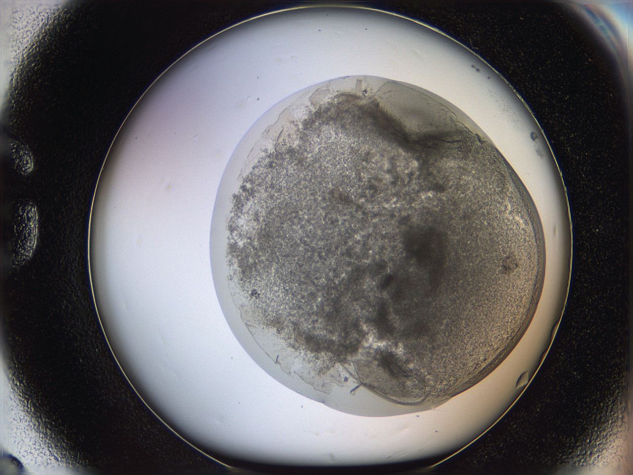 068t_G8_ImagerDefaults_3.jpg