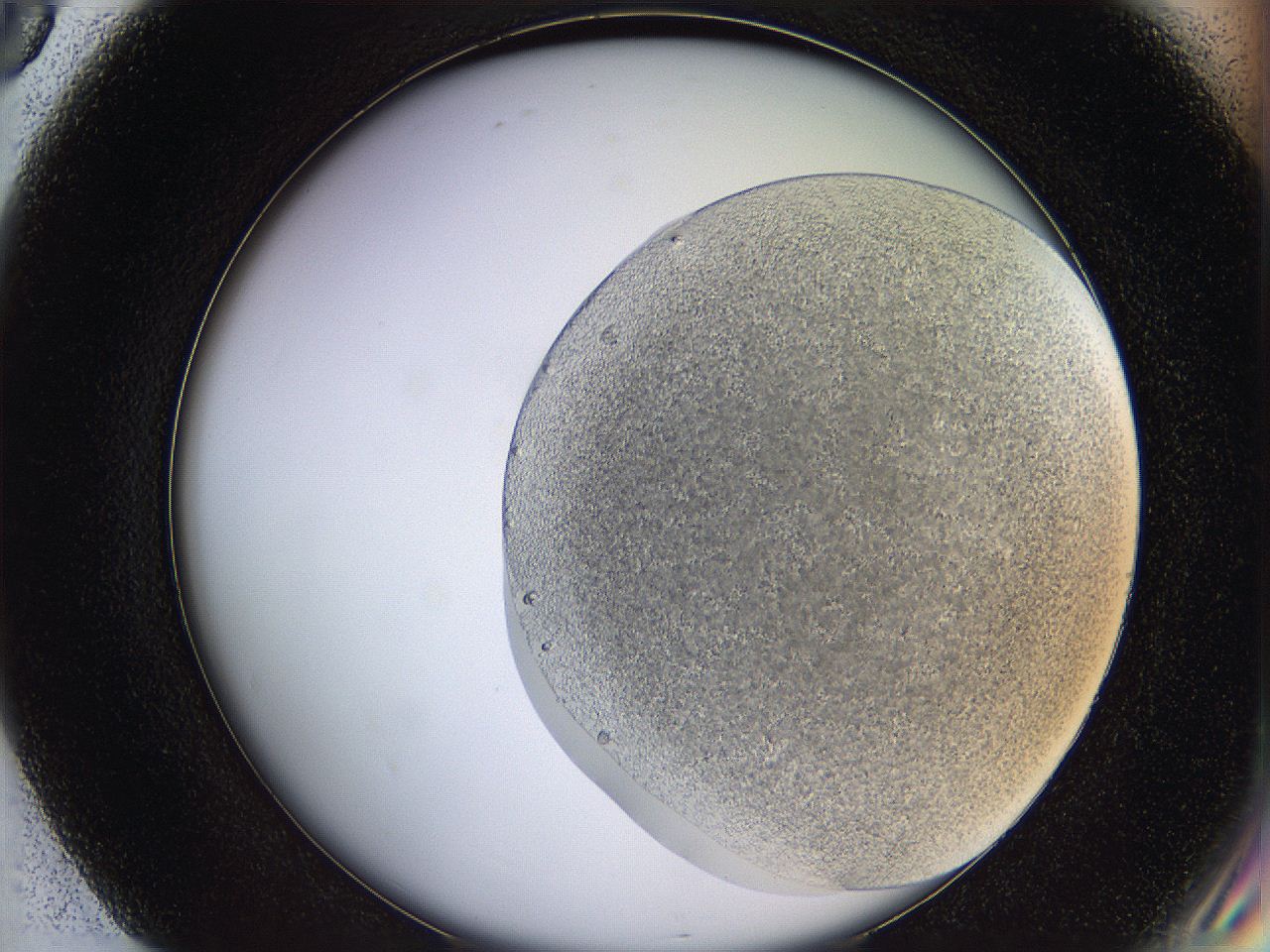 068t_G8_ImagerDefaults_4.jpg