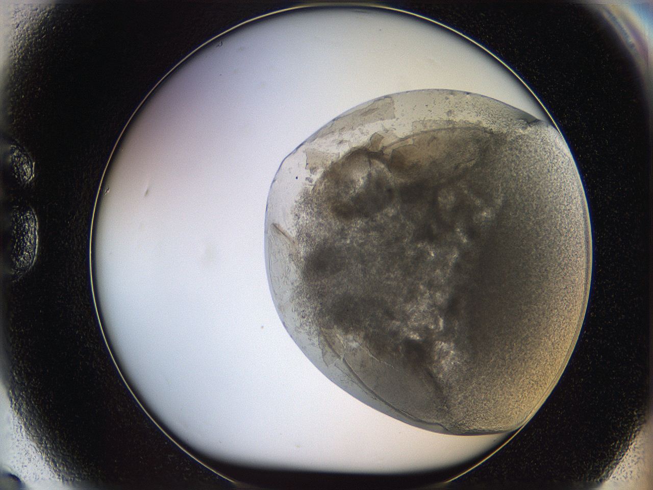 068t_G9_ImagerDefaults_3.jpg