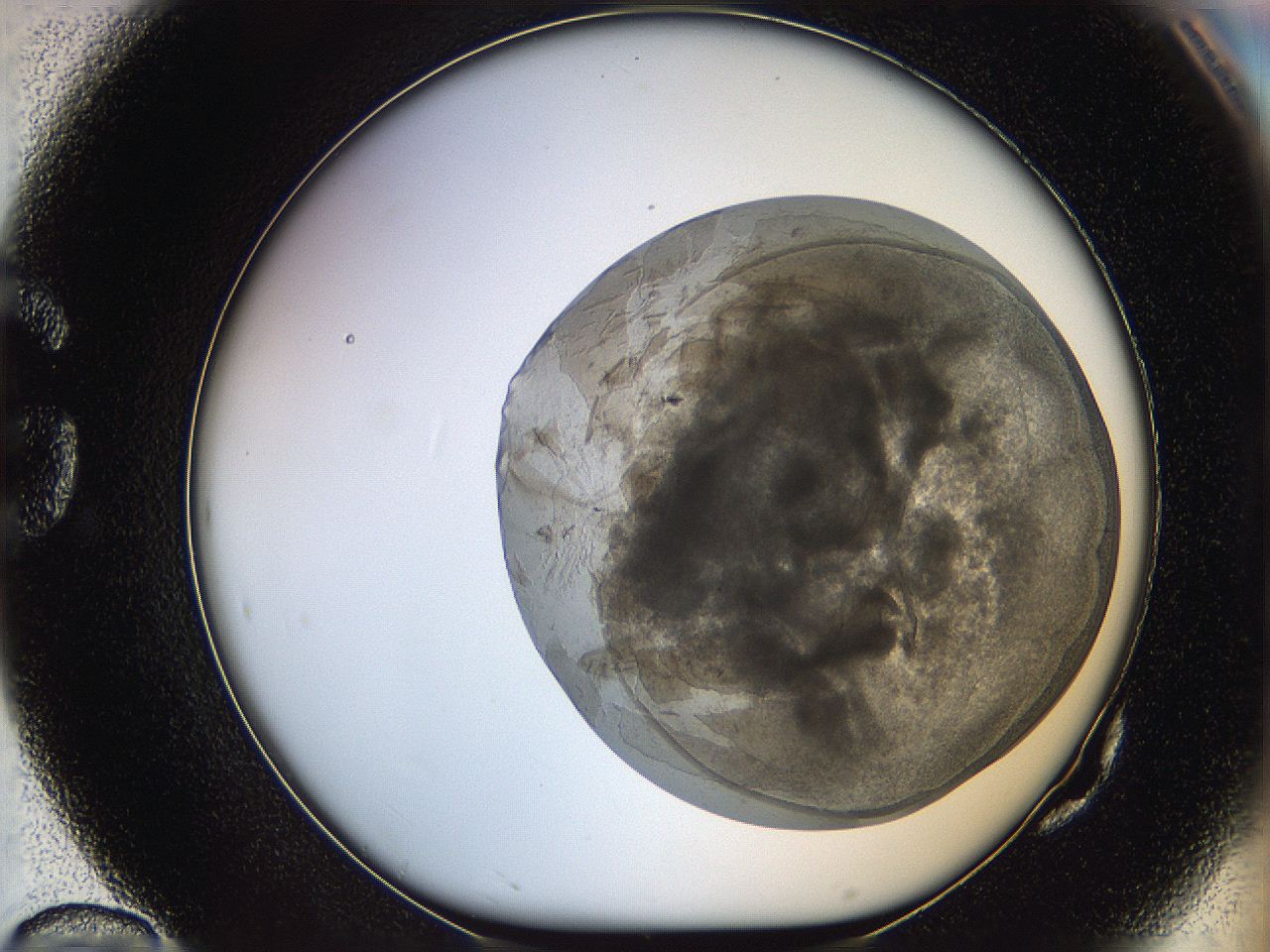 068t_G10_ImagerDefaults_3.jpg