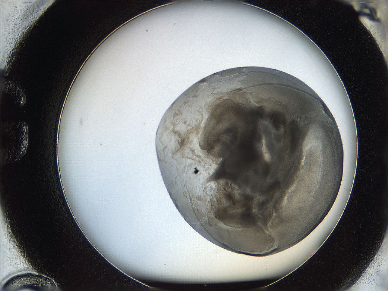 068t_G12_ImagerDefaults_3.jpg