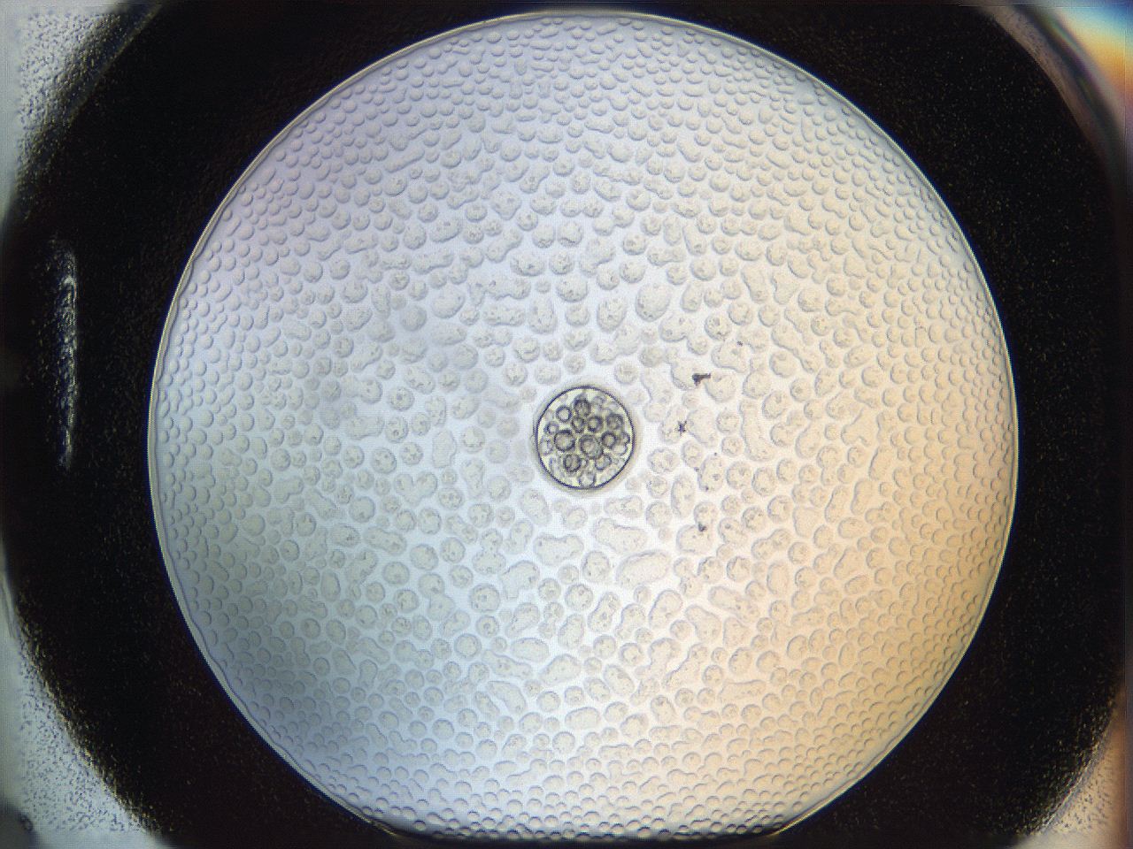 068t_H4_ImagerDefaults_6.jpg