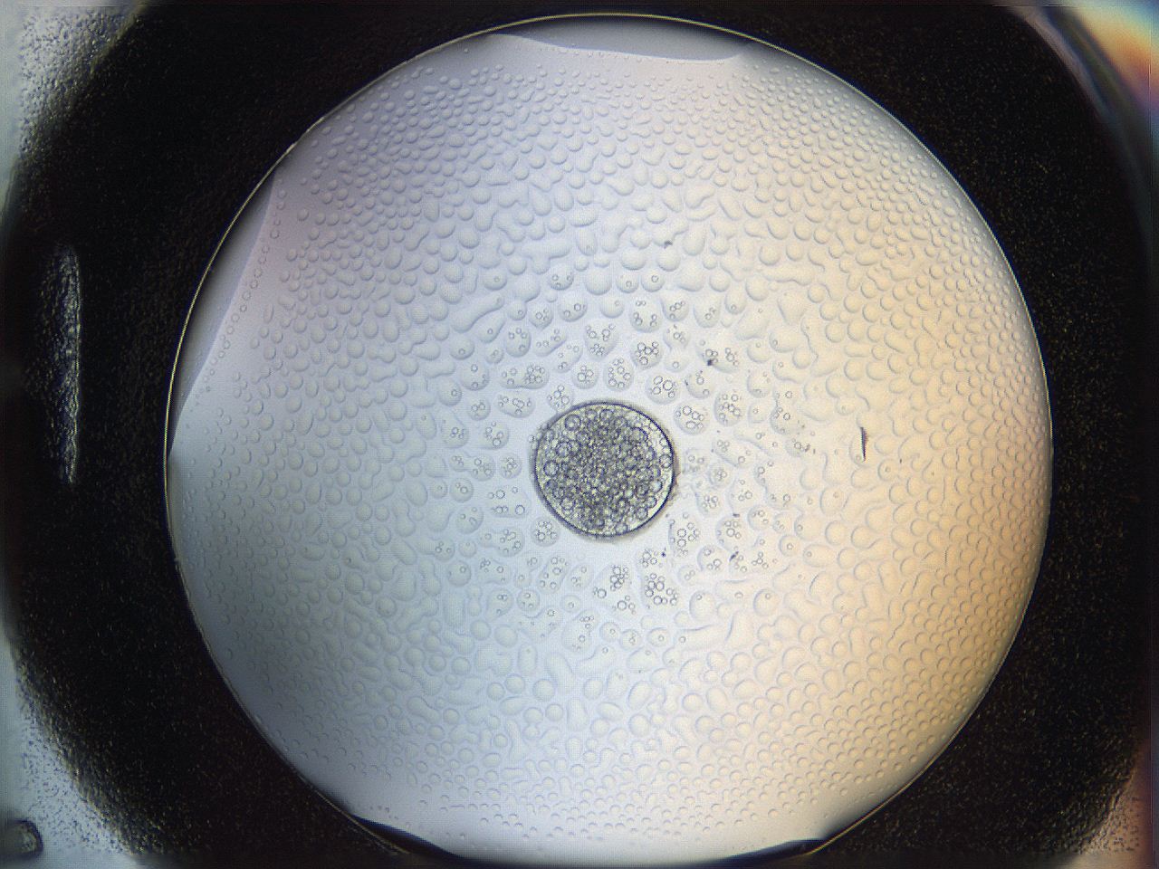 068t_H5_ImagerDefaults_5.jpg